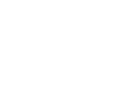 ZH logo white